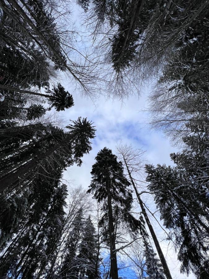 Садиба Between Mountains Mizhhirya  Kültér fotó