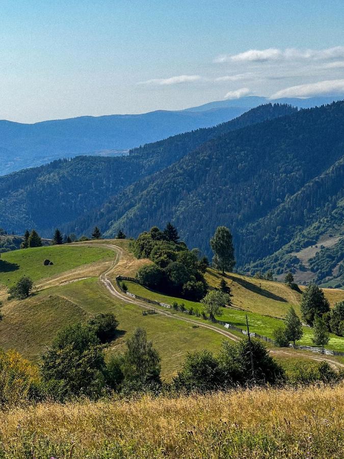 Садиба Between Mountains Mizhhirya  Kültér fotó