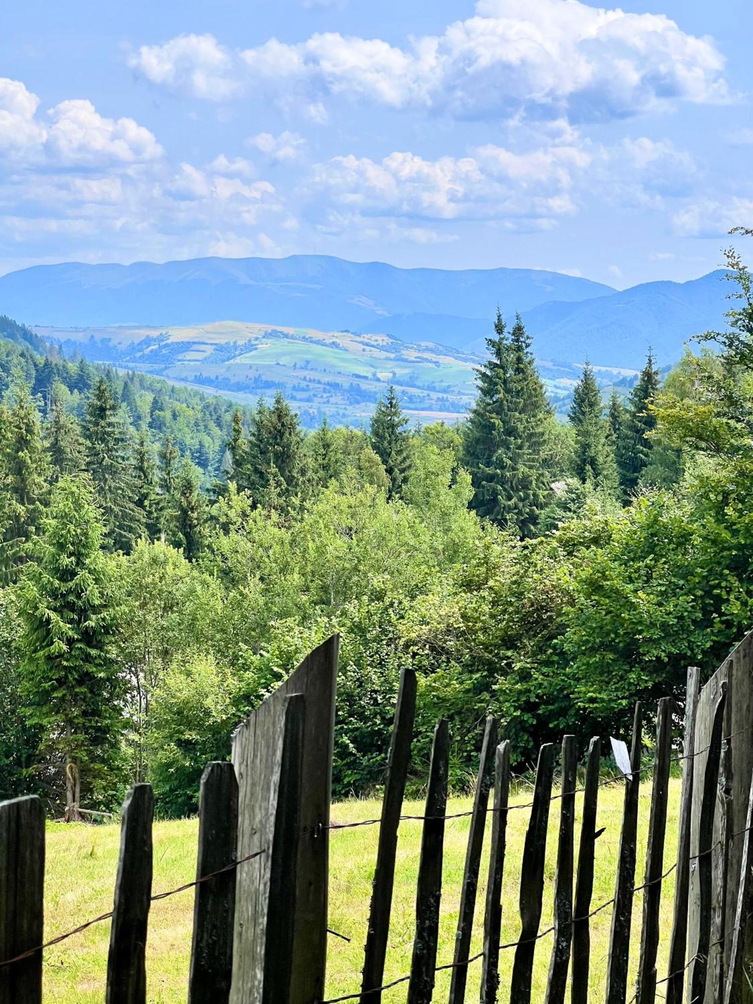 Садиба Between Mountains Mizhhirya  Kültér fotó